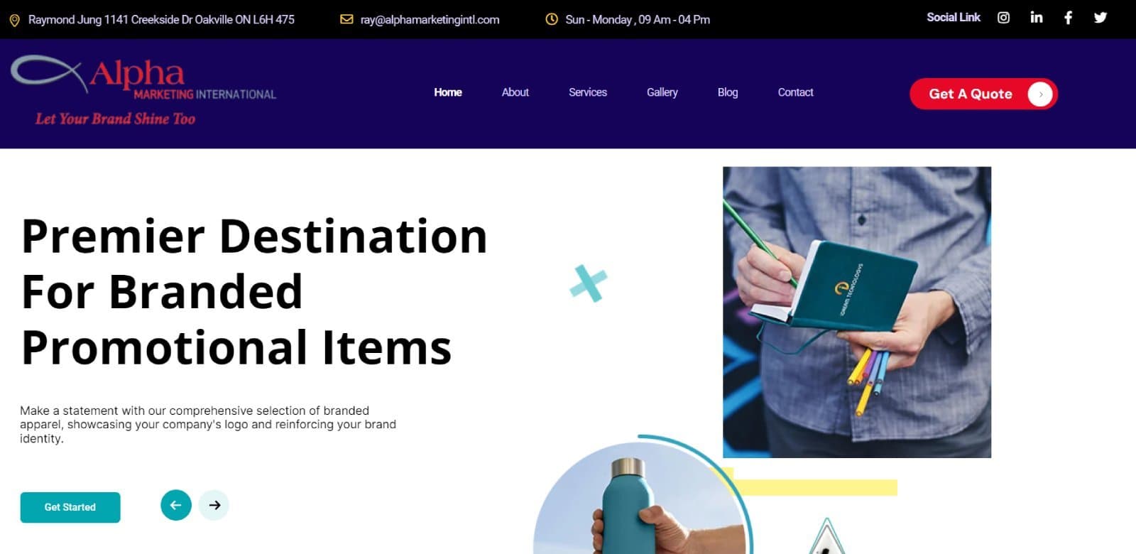 Alpha Marketing International website homepage shown on desktop