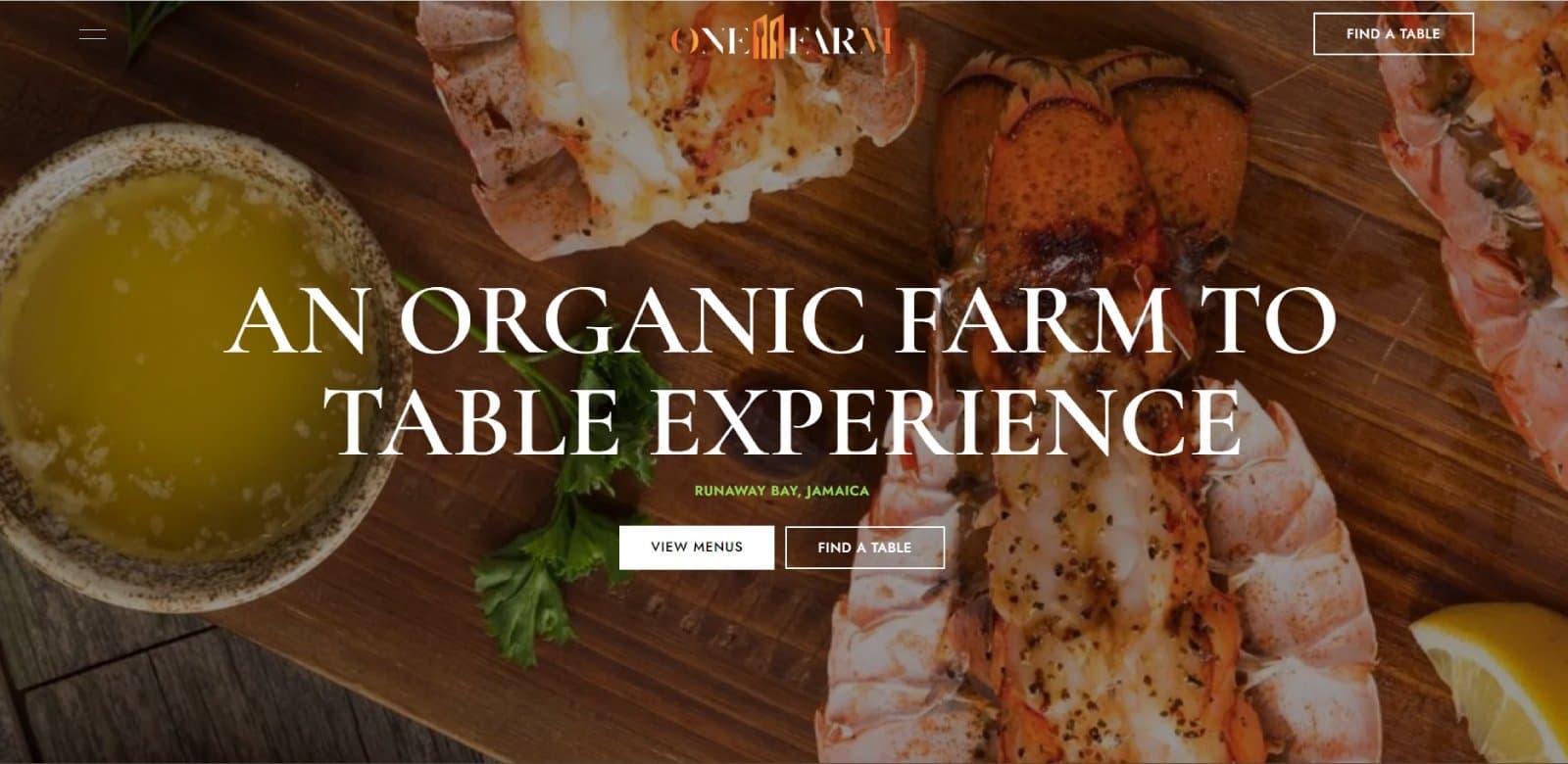 One11 Farm website homepage shown on desktop